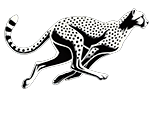 Running Cheetah