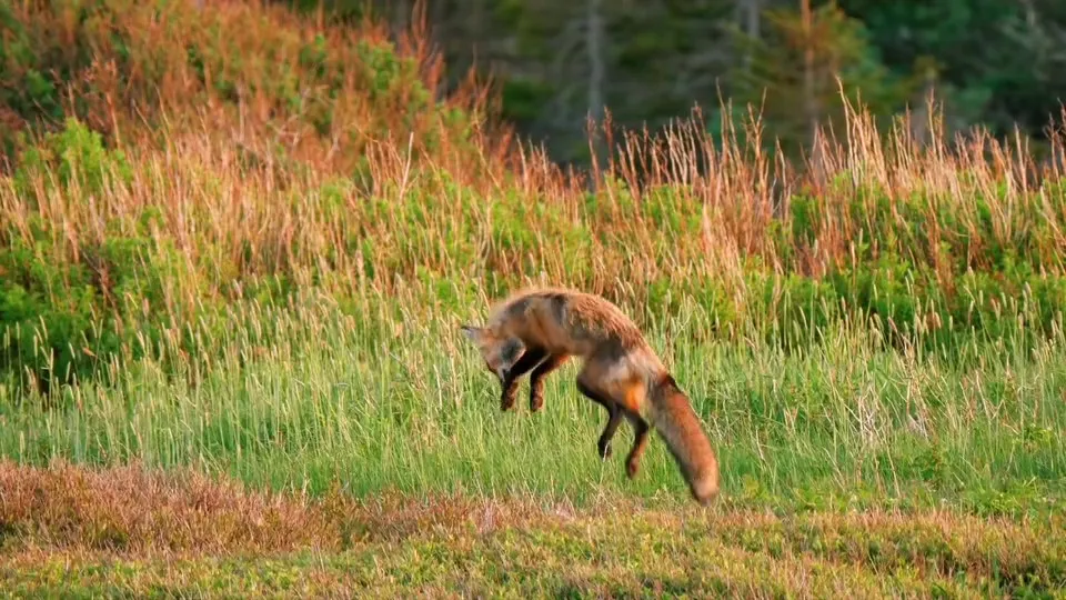 あいうえお順で探そう！