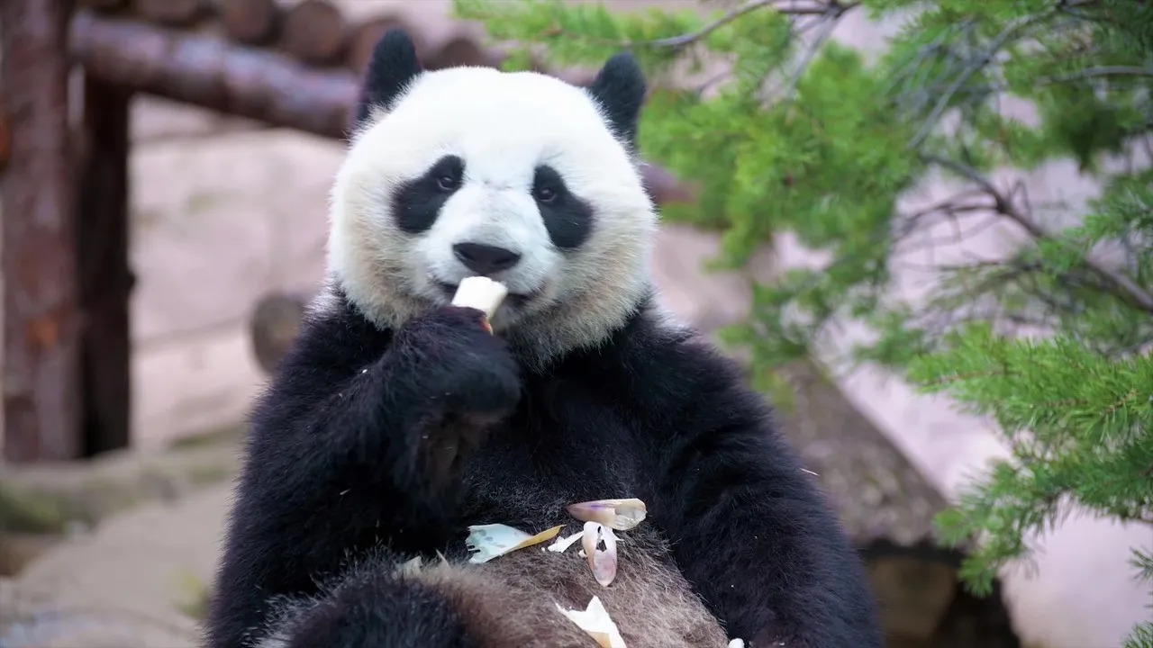 動物園に行こう！